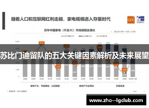 苏比门迪留队的五大关键因素解析及未来展望 苏比门迪留队的五大关键因素解析及未来展望