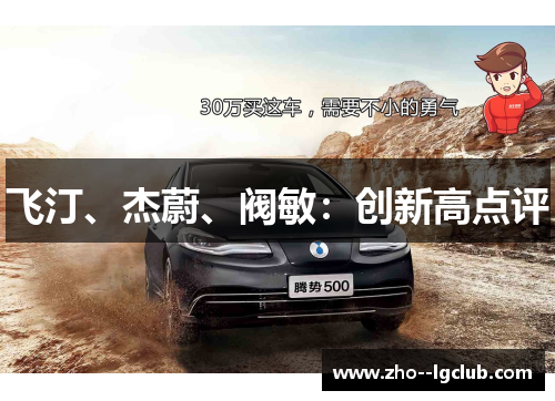 飞汀、杰蔚、阀敏：创新高点评